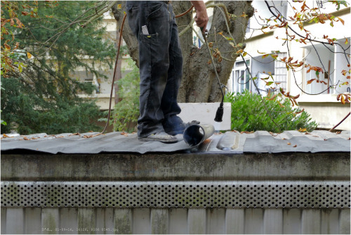 Dachdeckung  P1060545.