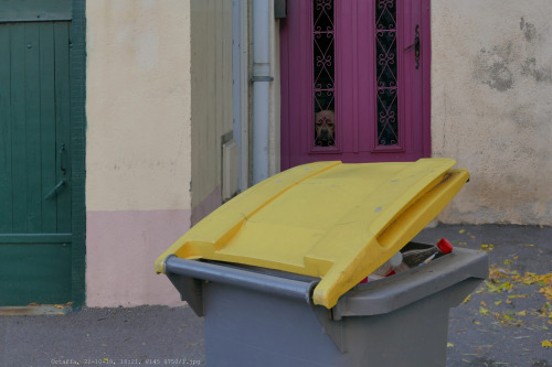 Hund mit Humor  P1450750.