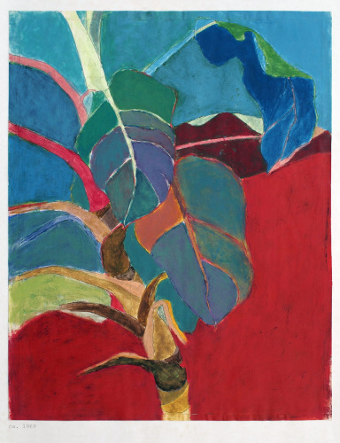 Blattpflanze, ca. 1969