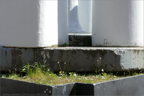 Detaul aus: Gusseisen  P1030655